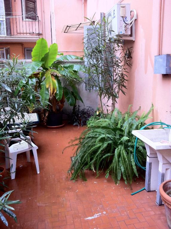 Ottimista Roma Exterior foto